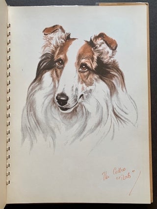 Dogs: An album of drawings