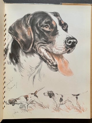 Dogs: An album of drawings