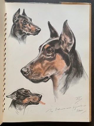 Dogs: An album of drawings