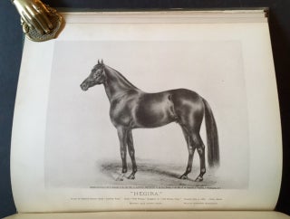 Item #14753 History in Brief of "Leopard" and "Linden", General Grant's Arabian Stallions,...