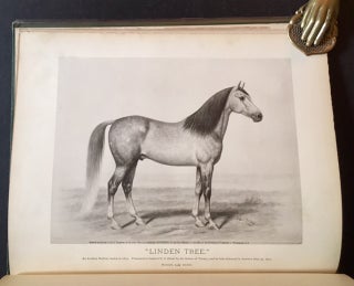 History in Brief of "Leopard" and "Linden", General Grant's Arabian Stallions, Presented to Him by the Sultan of Turkey in 1879. Also Their Sons "General Beale", "Hegira" and "Islam", Bred by Randolph Huntington. Also Reference to the Celebrated Stallion "Henry Clay".