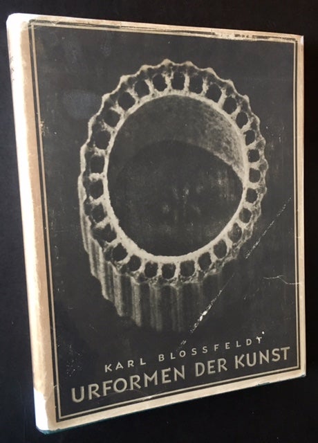 Item #16693 Urformen der Kunst: Photographische Pflanzenbilder (In Dustjacket). Professor Karl Blossfeldt.