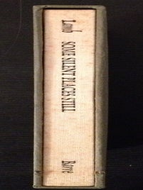 Item #1857 Some Silent Places Still. Dana S. Lamb