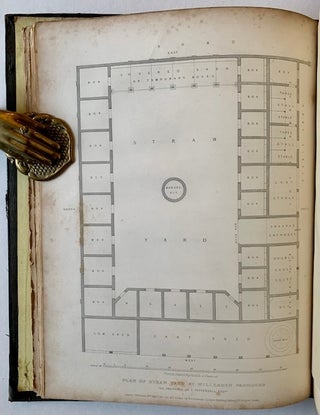 Sporting Architecture