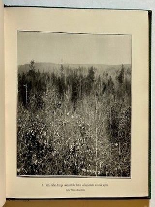 Vegetation and Scenery in the Metropolitan Reservations of Boston
