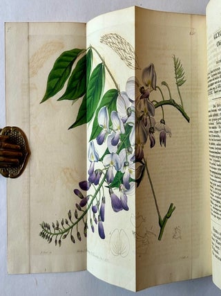 The Botanical Register: Consisting of Coloured Figures of Exotic Plants, Cultivated in British Gardens; With Their History and Mode of Treatment (In 7 Volumes)