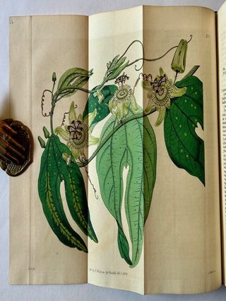 The Botanical Register: Consisting of Coloured Figures of Exotic Plants, Cultivated in British Gardens; With Their History and Mode of Treatment (In 7 Volumes)