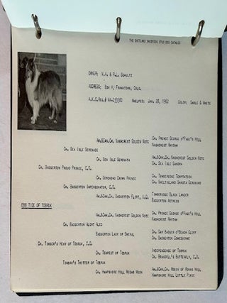 The Shetland Sheepdog Stud Dog Catalog (Vol. I)