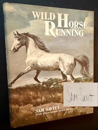Wild Horse Running