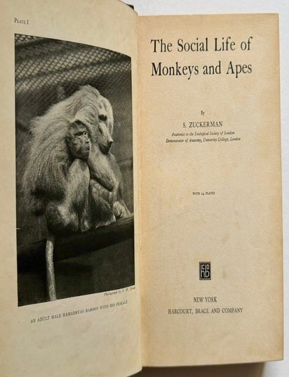 Item #26022 The Social Life of Monkeys and Apes. S. Zuckerman.