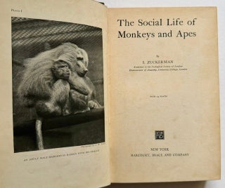 Item #26022 The Social Life of Monkeys and Apes. S. Zuckerman