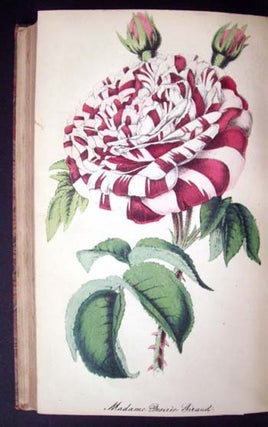 Item #4886 The Floricultural Cabinet and Florist's Magazine (January to December, 1853