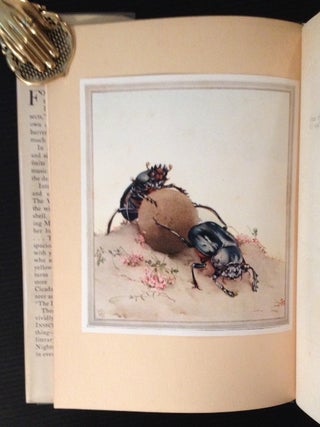 Fabre's Book of Insects (in the Original Box)
