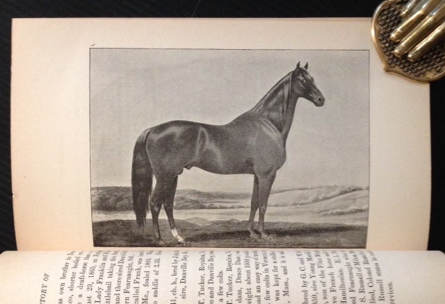 Item #8764 History of the Walker Horse: The Morrills and the Hamiltonian Horses of Vermont. Allen W. Thomson.